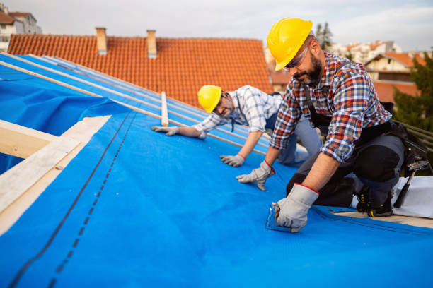 Best Metal Roofing Contractor  in Mount Vernon, IL